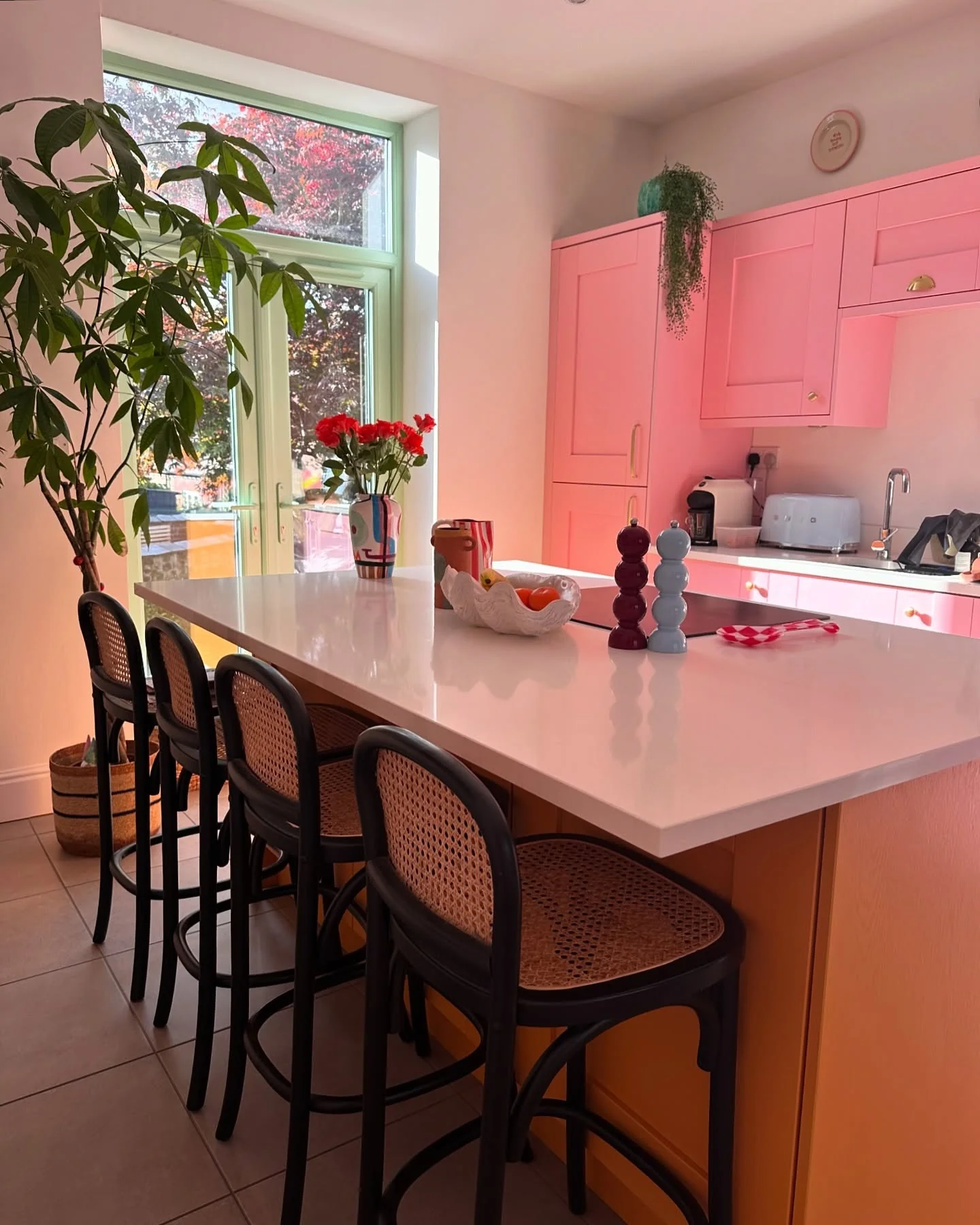 Tall Green Plant Adds Life to Pink Kitchen Island