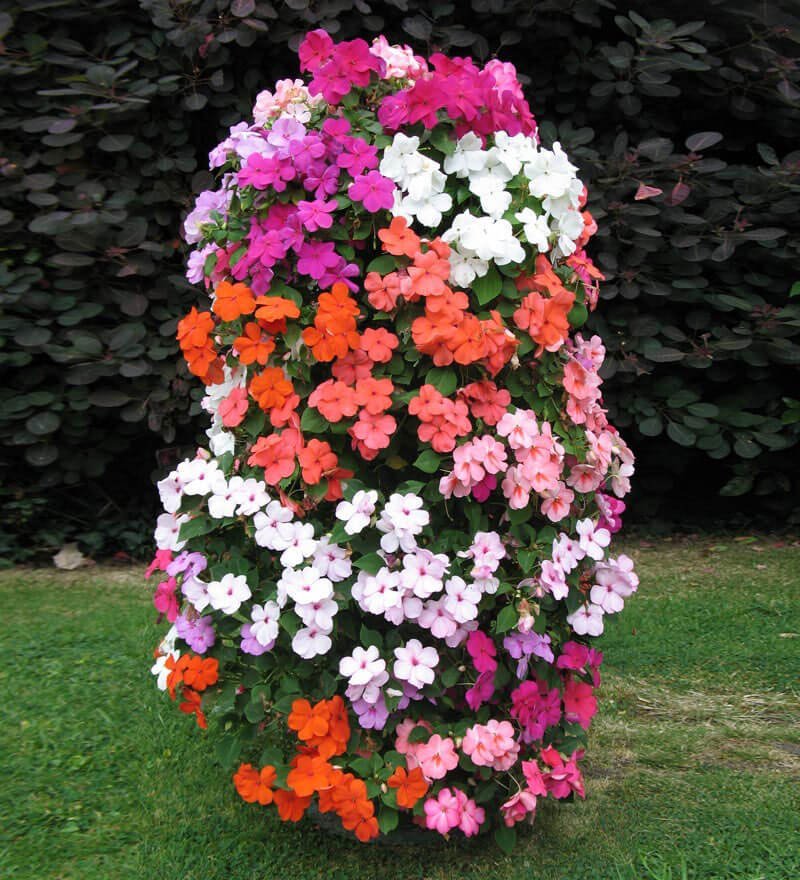 Mound a Tall Planter with Mixed Impatiens
