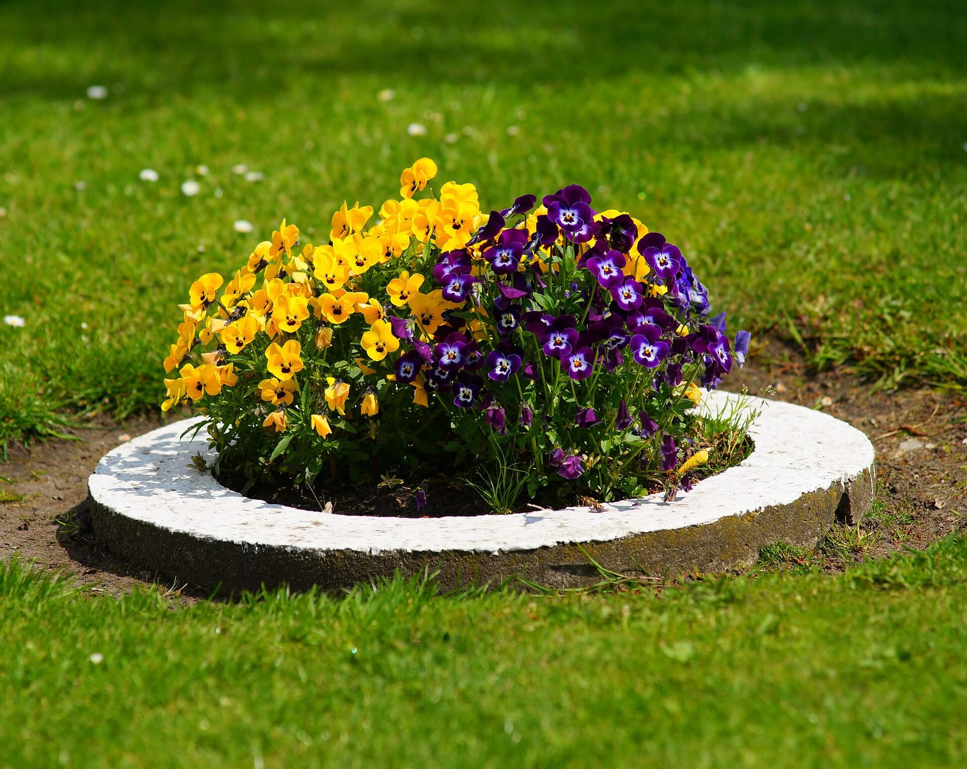 Define a Small Bed with a Concrete Ring