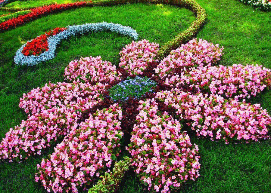 Flower Bed Design Mimics Petals Around a Central Cluster