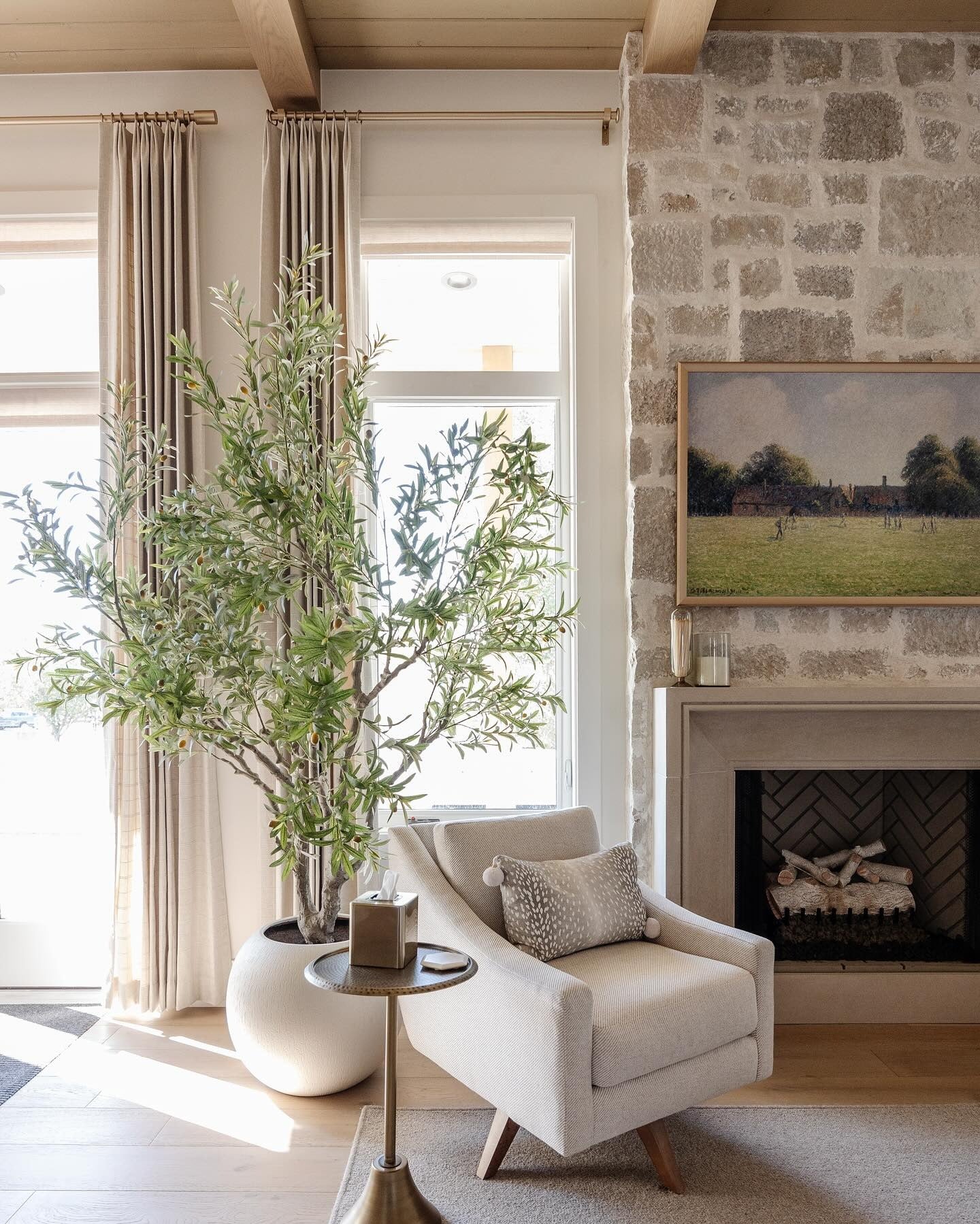 Large Potted Olive Tree Adds Natural Greenery Near Window