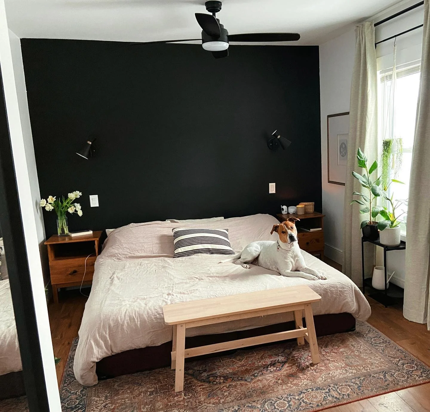 Black Accent Wall Creates a Dramatic Backdrop for a Cozy Bedroom