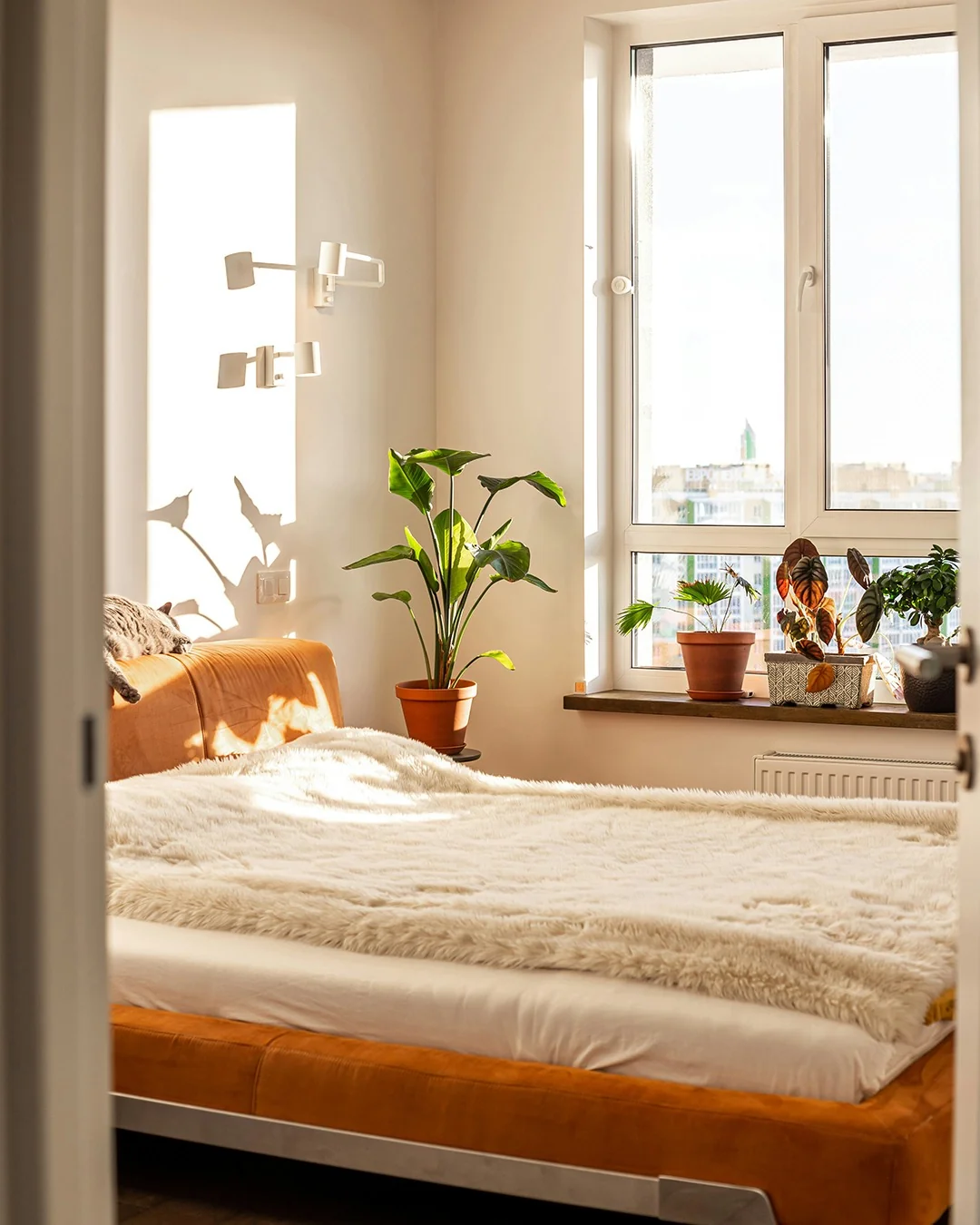 Window Sill Displays Bring Nature Into Your Bedroom