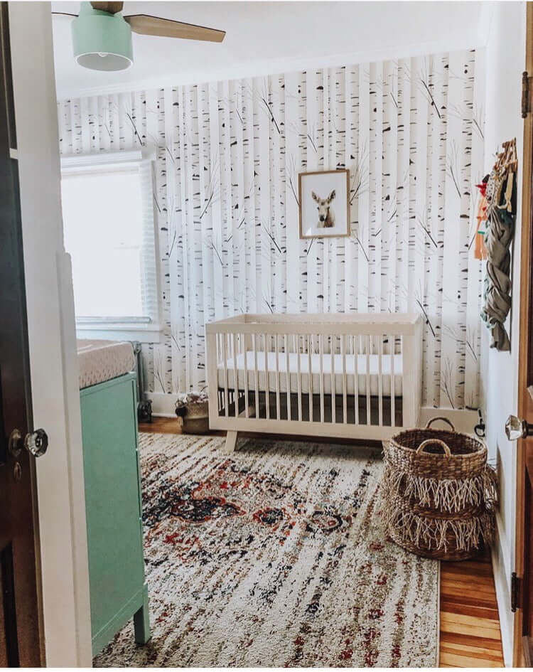 Birch Tree Wallpaper Creates an Enchanting Forest Backdrop