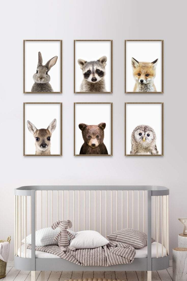 Six Framed Woodland Animal Portraits Create a Sweet Gallery Wall