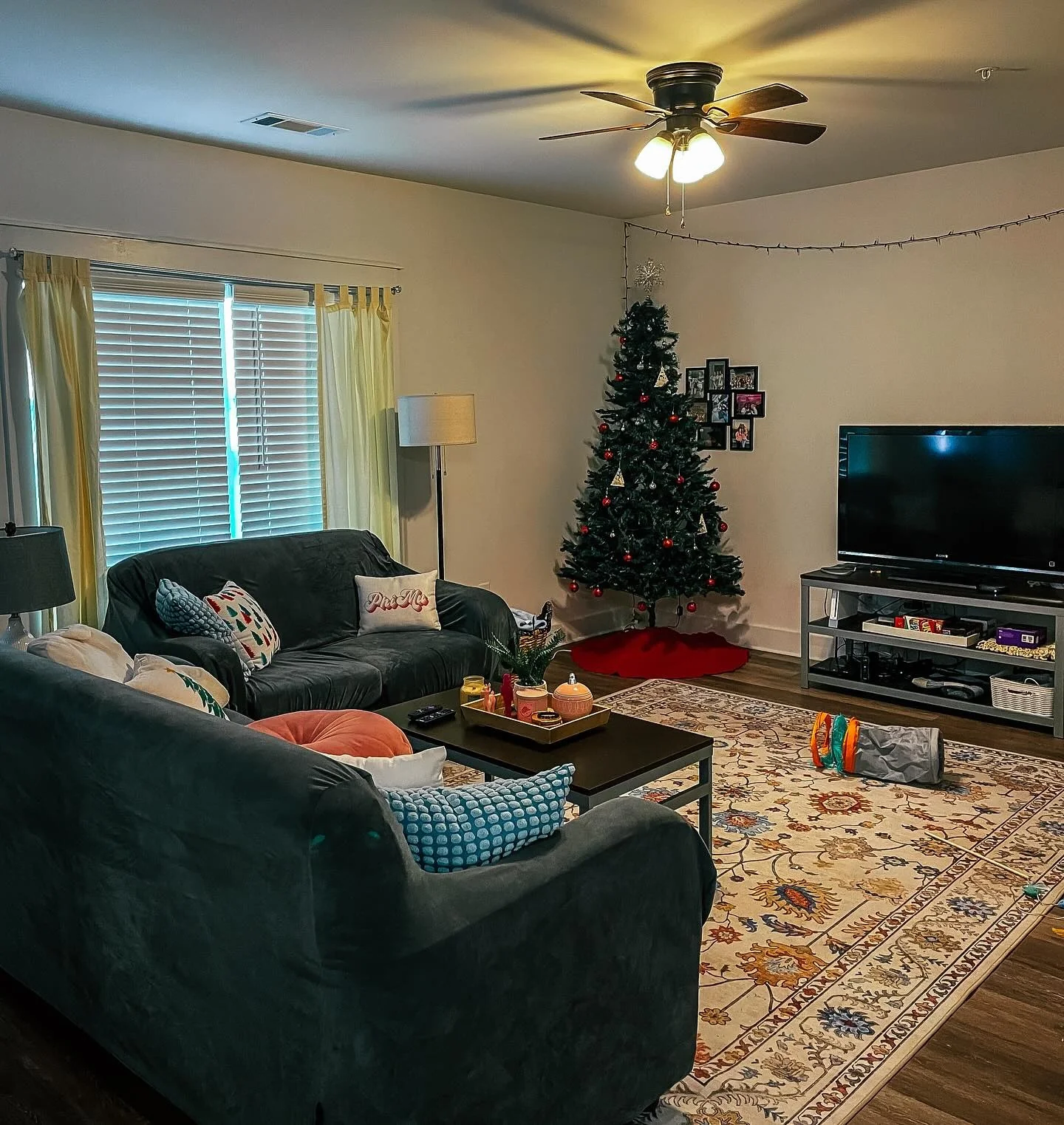 Ornate Rug Anchors Seating Area with Classic Pattern