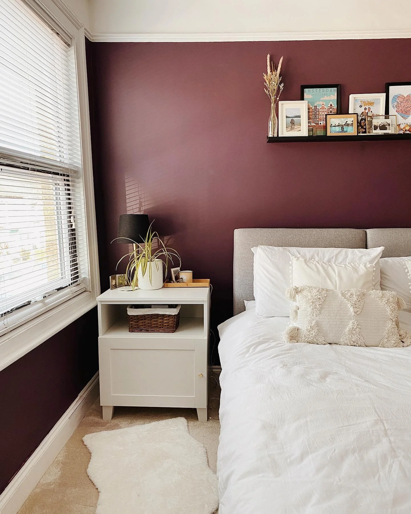 Embrace Cozy Depths with Plum Walls