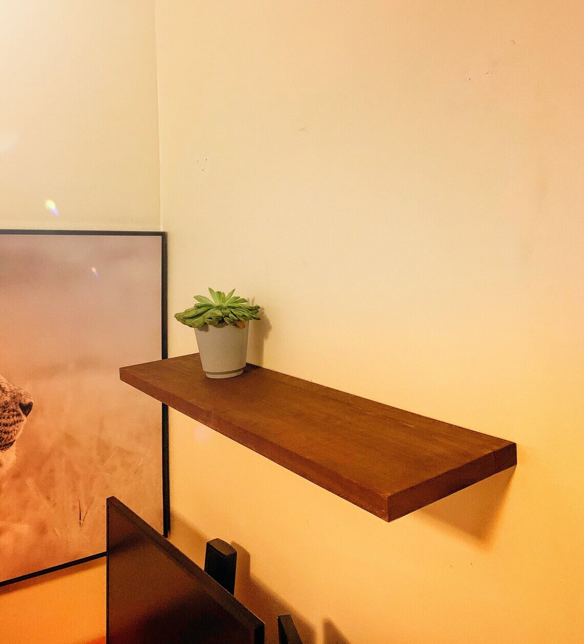 Simple Wood Shelf for a Single Green Plant