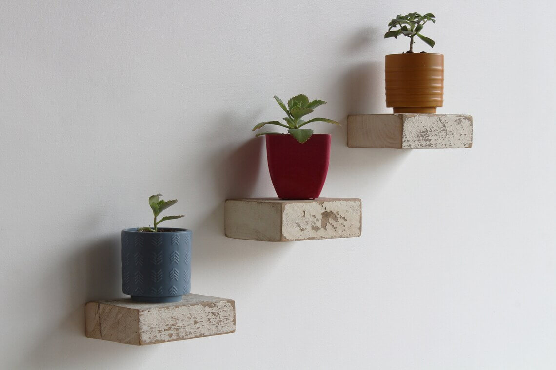 Staggered Shelves Create a Staircase Effect for Plants