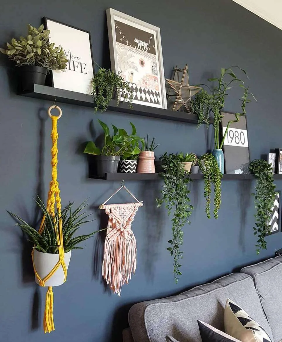 Macrame Plant Hanger Adds Boho Texture