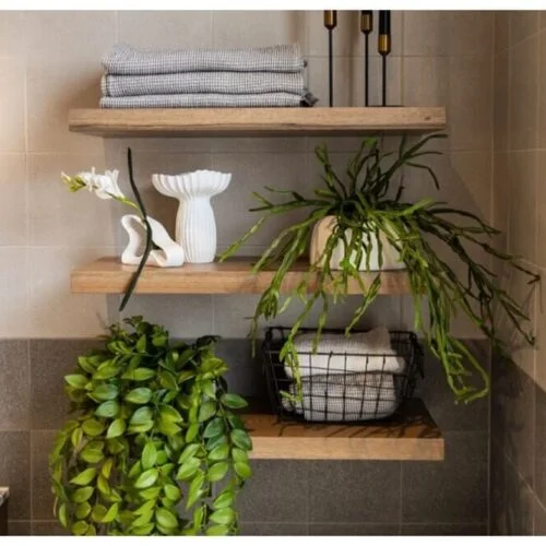 Floating Shelves Display Plants and Folded Towels